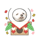 ミルクちゃんのお年賀（いぬ）1（個別スタンプ：21）
