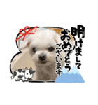 ミルクちゃんのお年賀（いぬ）1（個別スタンプ：22）