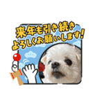 ミルクちゃんのお年賀（いぬ）1（個別スタンプ：23）