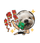 ミルクちゃんのお年賀（いぬ）1（個別スタンプ：24）