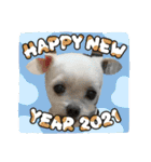 ミルクちゃんのお年賀（いぬ）1（個別スタンプ：27）