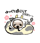ミルクちゃんのお年賀（いぬ）1（個別スタンプ：31）