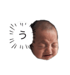 うづひこまる（個別スタンプ：5）