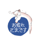 我が家のお猫様スタンプ（個別スタンプ：3）