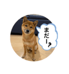 大和その2（個別スタンプ：1）