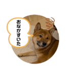 大和その2（個別スタンプ：4）