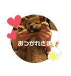 大和その2（個別スタンプ：13）