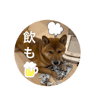 大和その2（個別スタンプ：16）