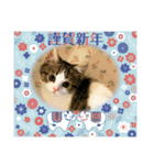 柚子猫ちゃん（個別スタンプ：2）