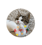 柚子猫ちゃん（個別スタンプ：6）