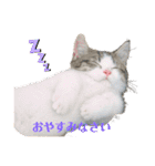 柚子猫ちゃん（個別スタンプ：9）