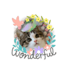 柚子猫ちゃん（個別スタンプ：14）