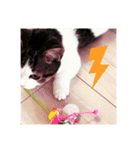 柚子猫ちゃん（個別スタンプ：16）