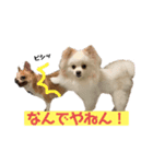 ベティー＆チャッピー3（個別スタンプ：1）