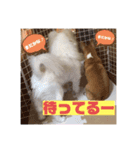 ベティー＆チャッピー3（個別スタンプ：2）