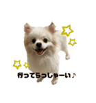 ベティー＆チャッピー3（個別スタンプ：3）