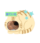 Anna‘s stamp（個別スタンプ：3）