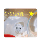 ほっちゃん日常（個別スタンプ：5）