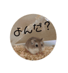 ほっちゃん日常（個別スタンプ：8）