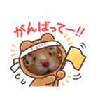 ハムスターまみれ（個別スタンプ：5）