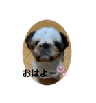 TENNCHA①（個別スタンプ：4）