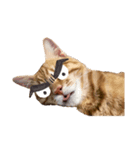 キャラ濃いめ猫（個別スタンプ：3）