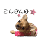 ひめちゃんはアイドル♡withののちゃん（個別スタンプ：3）