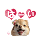 ひめちゃんはアイドル♡withののちゃん（個別スタンプ：9）