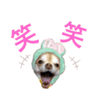 ひめちゃんはアイドル♡withののちゃん（個別スタンプ：33）