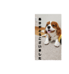 キャバリアの一言（個別スタンプ：20）
