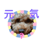 徳島 南方言葉 （デカ文字）トイプークム2（個別スタンプ：1）