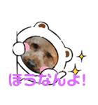 徳島 南方言葉 （デカ文字）トイプークム2（個別スタンプ：11）