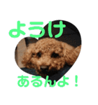 徳島 南方言葉 （デカ文字）トイプークム2（個別スタンプ：18）