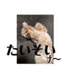 徳島 南方言葉 （デカ文字）トイプークム2（個別スタンプ：24）