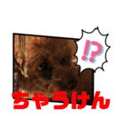 徳島 南方言葉 （デカ文字）トイプークム2（個別スタンプ：30）