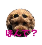 徳島 南方言葉 （デカ文字）トイプークム2（個別スタンプ：40）