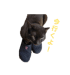 akisスタンプ（個別スタンプ：7）