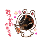 コリーシェルティで行ってみよ〜❤（個別スタンプ：2）