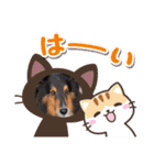 コリーシェルティで行ってみよ〜❤（個別スタンプ：5）