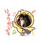 コリーシェルティで行ってみよ〜❤（個別スタンプ：7）