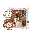 コリーシェルティで行ってみよ〜❤（個別スタンプ：14）