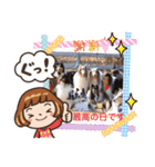 コリーシェルティで行ってみよ〜❤（個別スタンプ：19）