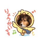 コリーシェルティで行ってみよ〜❤（個別スタンプ：24）