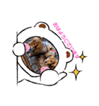 コリーシェルティで行ってみよ〜❤（個別スタンプ：33）