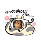 コリーシェルティで行ってみよ〜❤（個別スタンプ：35）
