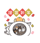 コリーシェルティで行ってみよ〜❤（個別スタンプ：39）