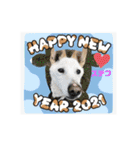 ピースワンコ保護犬スタンプ ワンだふるver（個別スタンプ：4）