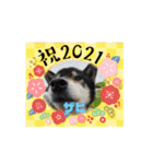 ピースワンコ保護犬スタンプ ワンだふるver（個別スタンプ：7）