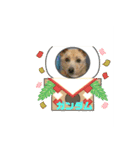 ピースワンコ保護犬スタンプ ワンだふるver（個別スタンプ：9）