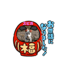 ピースワンコ保護犬スタンプ ワンだふるver（個別スタンプ：11）